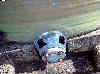  FIBERGLASS Vertical Tanks,